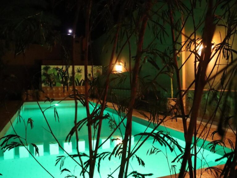 Riad Perlamazigh Review